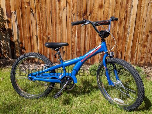 Schwinn Aerostar ficha técnica y opiniones